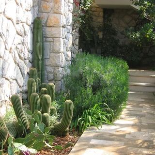 Apartman Forna Cres (3)