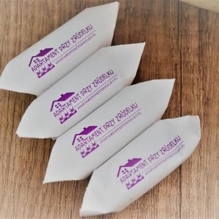 Apartament przy Źródełku Krynica-Zdrój (4)