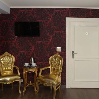 Pałac Dąbrowa Górnicza (5)