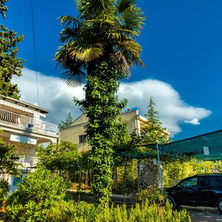 Apartments Puskar Njivice (4)