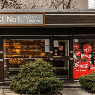 Central Home Pesterzsébet-Budapest (3)