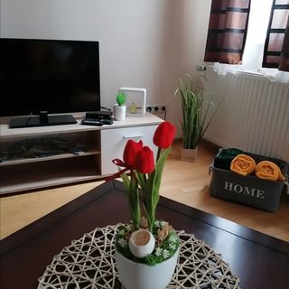 Beatrix Apartman Bükfürdő (2)