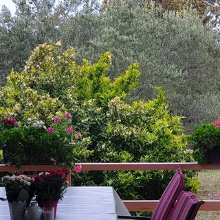 Apartman Rabatin  Sveti Filip i Jakov (5)