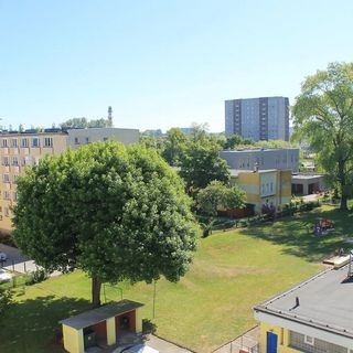 Miodowy dom Kołobrzeg (3)