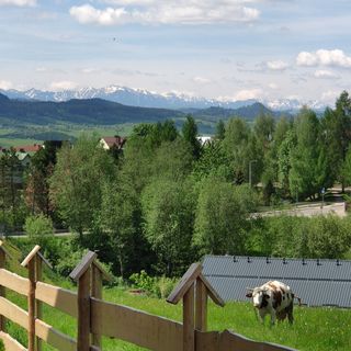 Góralskie Domki na Podhalu z Jacuzzi (5)