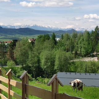 Góralskie Domki na Podhalu z Jacuzzi (5)