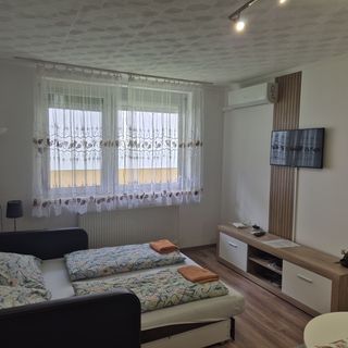 Fischer 2 Apartman Hajdúszoboszló (4)