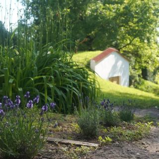 Kiskúti Vendégház Monoszló (4)