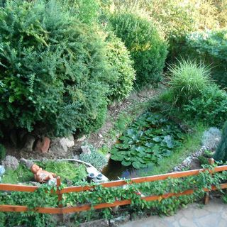 Szőlőskert Apartman Cserszegtomaj (4)