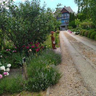 Szőlőskert Apartman Cserszegtomaj (2)