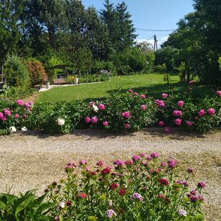 Szőlőskert Apartman Cserszegtomaj (5)