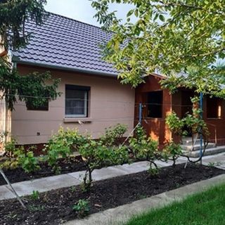 Állatpark Vendégház Füzesgyarmat (4)