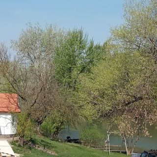 Tüskevár Vendégház Tokaj (5)