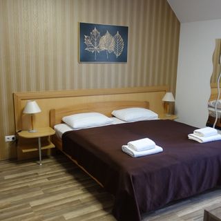 Thomas Apartman Zalakaros  (3)