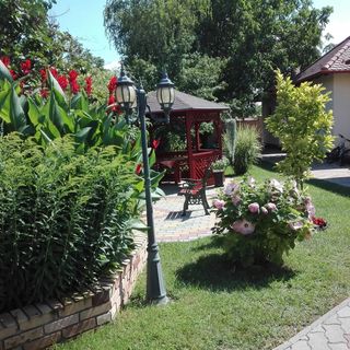 Kaktuszvirág Apartmanház Hajdúszoboszló (4)