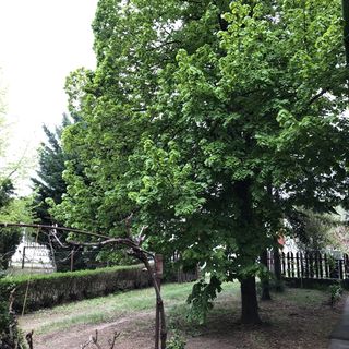 Sutka Vendégház Cserkeszőlő (2)