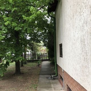 Sutka Vendégház Cserkeszőlő (3)