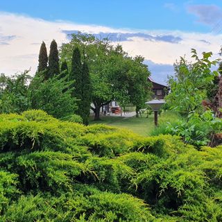 Alamand Vendégház Szolnok (3)