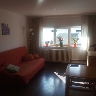 Ubytování v Zooparku Zelčín Hořín (3)