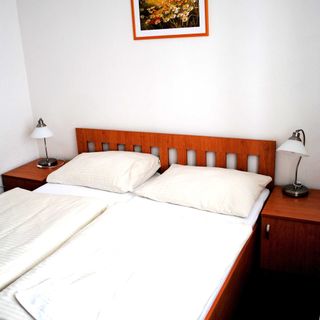 Hotel Allvet Vyškov (5)