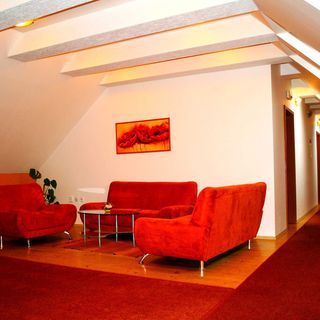 Hotel Allvet Vyškov (4)