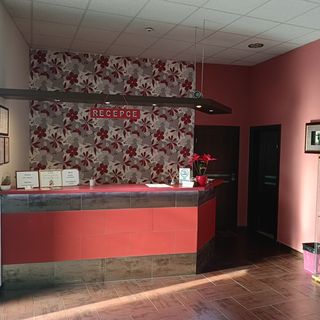 Hotel Toscca Čelákovice (5)