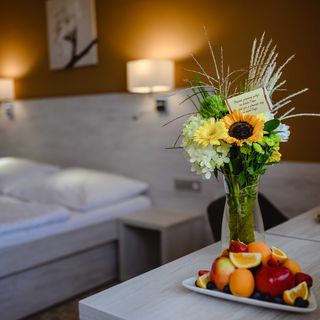 HOTEL VEGA Luhačovice (3)