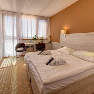 HOTEL VEGA Luhačovice (4)