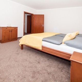 Hotel Lázeňský vrch Litvínov (5)