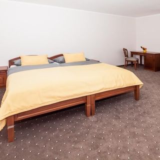 Hotel Lázeňský vrch Litvínov (4)