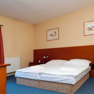 Zelená Žába Pardubice (2)