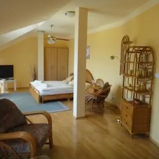 Hotel Monaco Náměšť nad Oslavou (4)