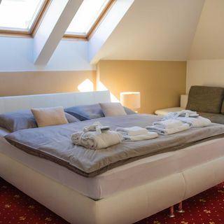 Vila Jiřinka Luhačovice (2)