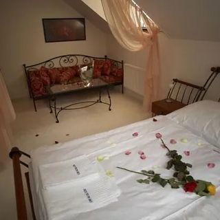 Pension Konopiště Benešov (4)