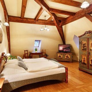 Penzion U Křivého psa Frýdek-Místek (3)