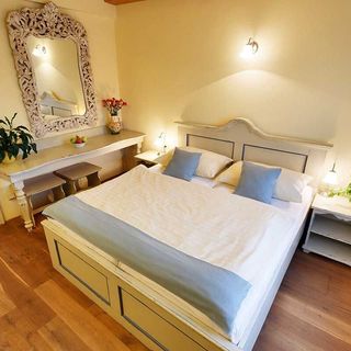 Penzion U Křivého psa Frýdek-Místek (5)