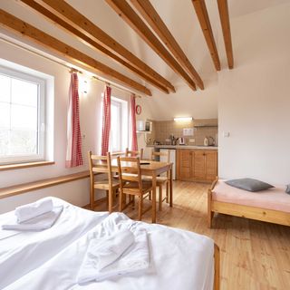 Penzion Vědomice (4)