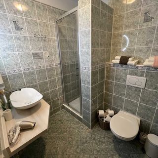 Hotel Mc Limon Šenov u Nového Jičína (5)