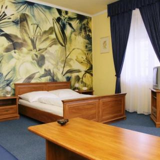 Hotel Růžek Hranice (3)