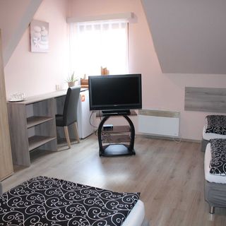 Penzion Avena Stříbro (3)