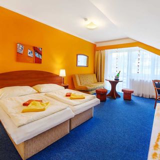 Hotel Centrum Harrachov (4)