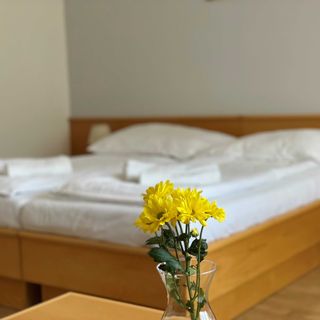 Hotel Laguna České Budějovice (4)