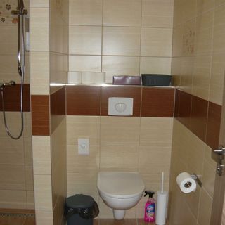 Apartmany - Penzion Lena Hradec Králové (3)