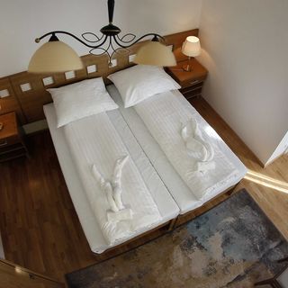 Hotel Pod Zeleným dubem Bohumín (3)