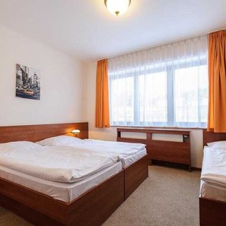 Hotel Alexis Praha (5)