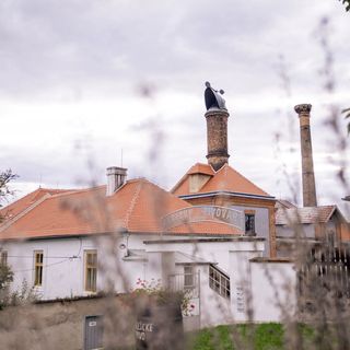 Pivovarský hotel Dalešice (5)