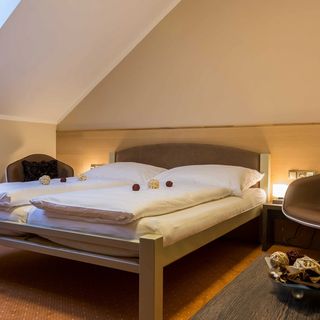 Hotel Lužnice Planá nad Lužnicí (4)