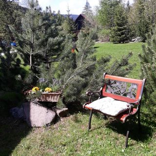 Pension Katty Špindlerův Mlýn (5)