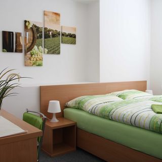 Penzion Bobule Staré Město (4)