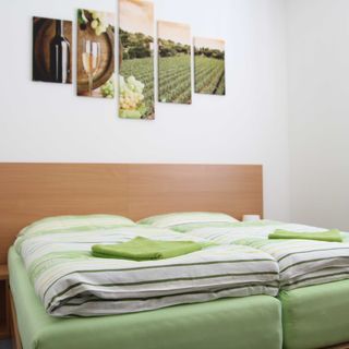 Penzion Bobule Staré Město (5)